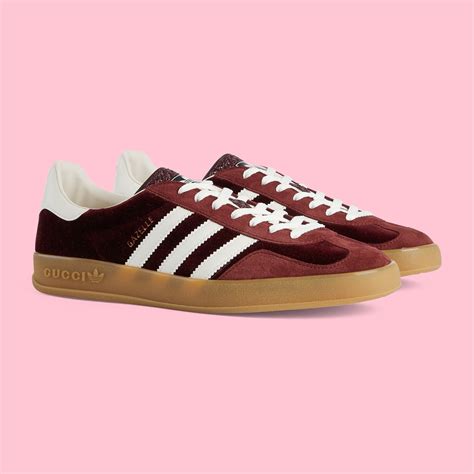 gucci adidas gazelle burgundy